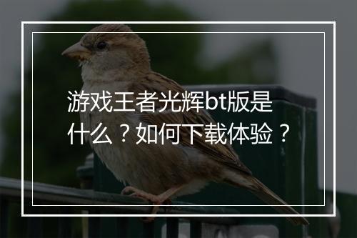 游戏王者光辉bt版是什么?如何下载体验?