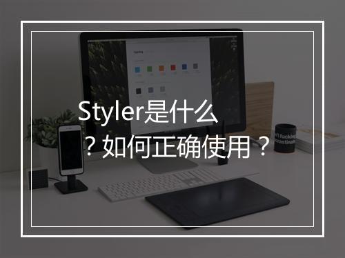 Styler是什么？如何正确使用？