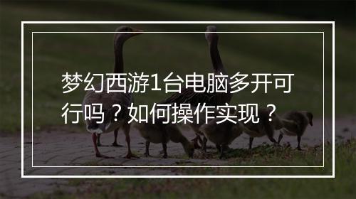 梦幻西游1台电脑多开可行吗？如何操作实现？
