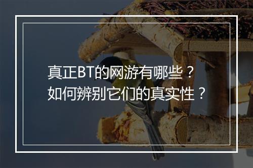 真正BT的网游有哪些？如何辨别它们的真实性？