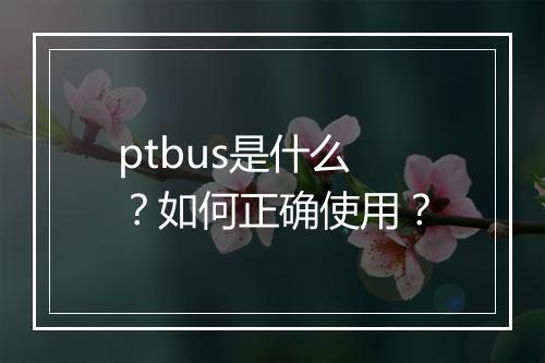 ptbus是什么?如何正确使用?