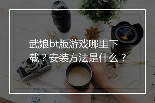 武娘bt版游戏哪里下载?安装方法是什么?