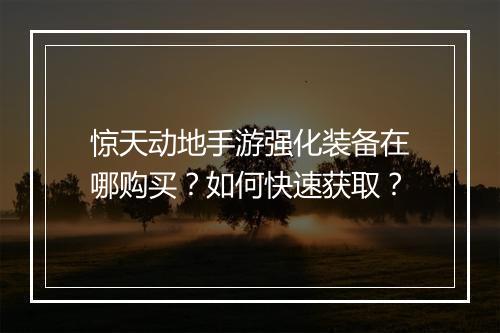 惊天动地手游强化装备在哪购买？如何快速获取？
