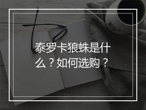泰罗卡狼蛛是什么？如何选购？
