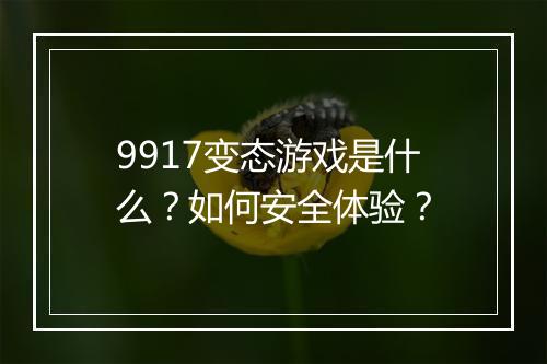 9917变态游戏是什么?如何安全体验?