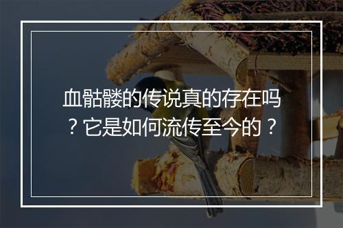 血骷髅的传说真的存在吗?它是如何流传至今的?