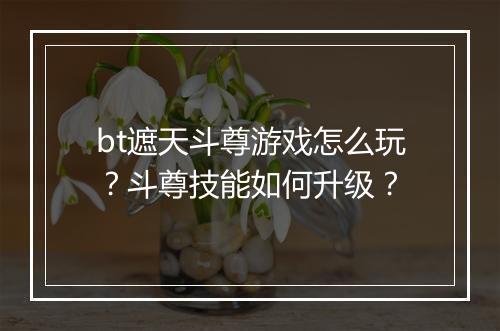 bt遮天斗尊游戏怎么玩？斗尊技能如何升级？