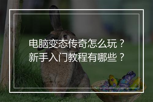 电脑变态传奇怎么玩？新手入门教程有哪些？