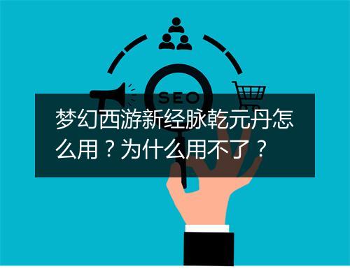 梦幻西游新经脉乾元丹怎么用？为什么用不了？