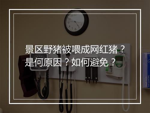 景区野猪被喂成网红猪?是何原因?如何避免?