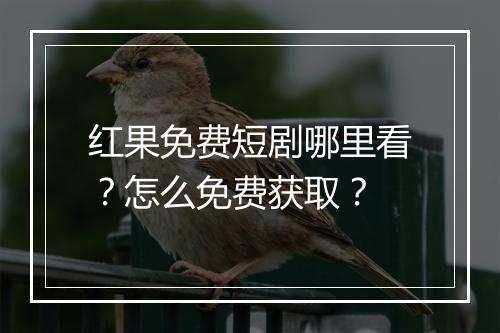 红果免费短剧哪里看？怎么免费获取？