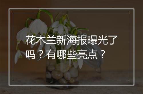 花木兰新海报曝光了吗?有哪些亮点?
