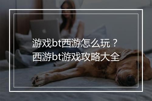 游戏bt西游怎么玩？西游bt游戏攻略大全
