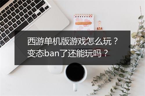 西游单机版游戏怎么玩？变态ban了还能玩吗？