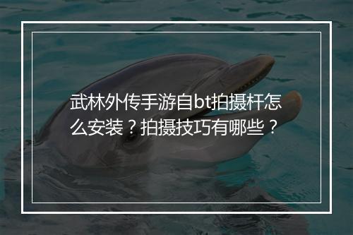 武林外传手游自bt拍摄杆怎么安装？拍摄技巧有哪些？