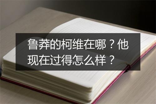 鲁莽的柯维在哪？他现在过得怎么样？