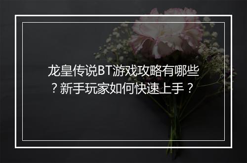 龙皇传说BT游戏攻略有哪些？新手玩家如何快速上手？