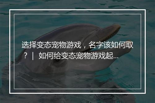 选择变态宠物游戏,名字该如何取?| 如何给变态宠物游戏起名?