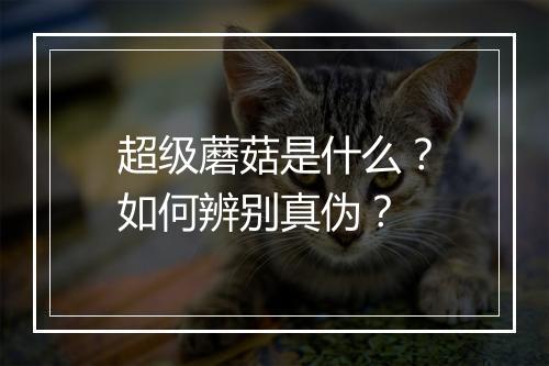 超级蘑菇是什么?如何辨别真伪?