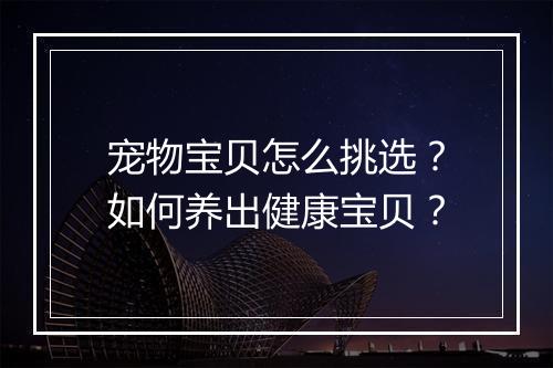 宠物宝贝怎么挑选?如何养出健康宝贝?