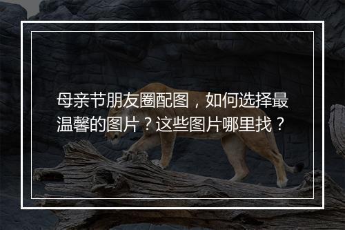 母亲节朋友圈配图,如何选择最温馨的图片?这些图片哪里找?