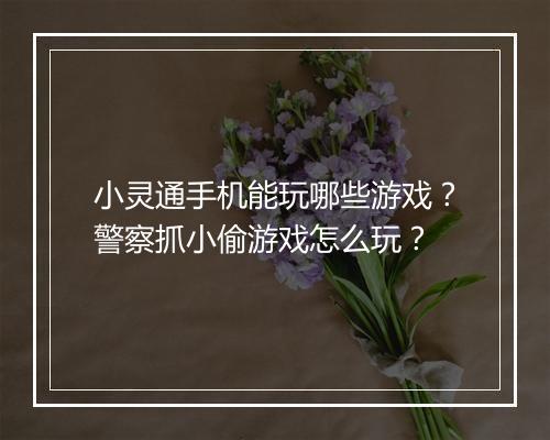 小灵通手机能玩哪些游戏？警察抓小偷游戏怎么玩？