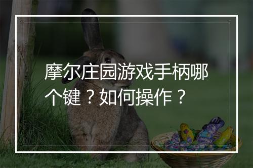 摩尔庄园游戏手柄哪个键？如何操作？