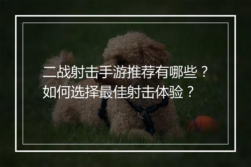 二战射击手游推荐有哪些？如何选择最佳射击体验？