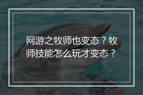 网游之牧师也变态?牧师技能怎么玩才变态?