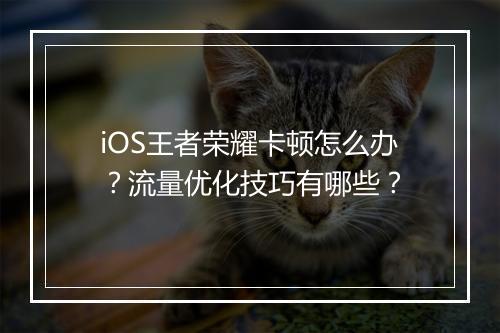 iOS王者荣耀卡顿怎么办？流量优化技巧有哪些？