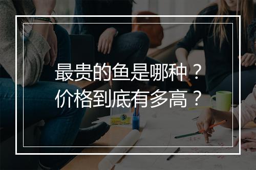 最贵的鱼是哪种?价格到底有多高?