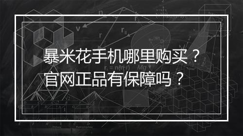 暴米花手机哪里购买?官网正品有保障吗?