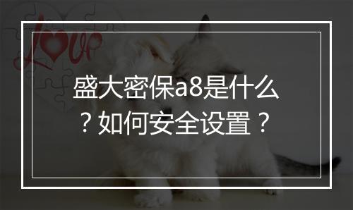 盛大密保a8是什么?如何安全设置?