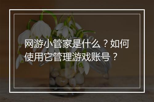 网游小管家是什么?如何使用它管理游戏账号?