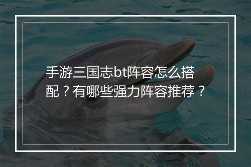 手游三国志bt阵容怎么搭配？有哪些强力阵容推荐？
