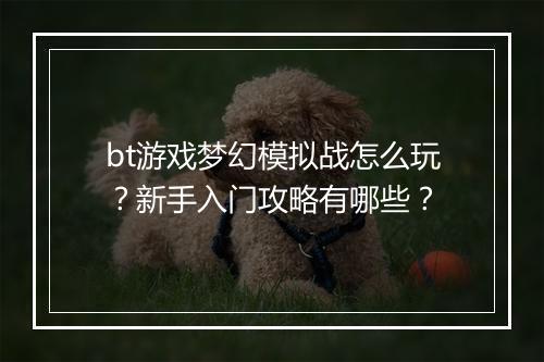 bt游戏梦幻模拟战怎么玩？新手入门攻略有哪些？