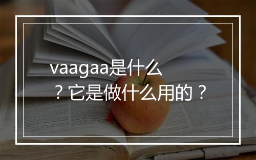 vaagaa是什么?它是做什么用的?