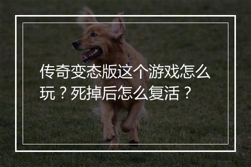 传奇变态版这个游戏怎么玩?死掉后怎么复活?