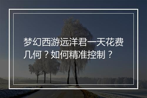 梦幻西游远洋君一天花费几何？如何精准控制？