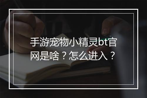 手游宠物小精灵bt官网是啥?怎么进入?