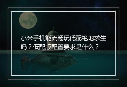 小米手机能流畅玩低配绝地求生吗？低配版配置要求是什么？
