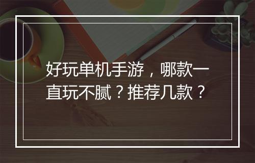 好玩单机手游，哪款一直玩不腻？推荐几款？