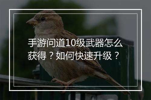 手游问道10级武器怎么获得？如何快速升级？