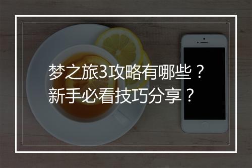 梦之旅3攻略有哪些?新手必看技巧分享?