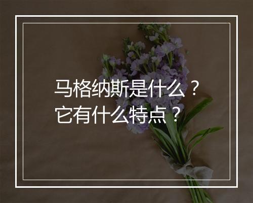 马格纳斯是什么?它有什么特点?