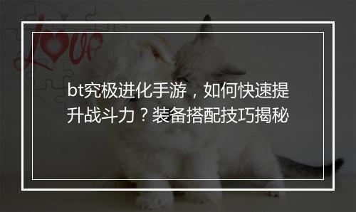 bt究极进化手游，如何快速提升战斗力？装备搭配技巧揭秘