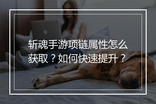 斩魂手游项链属性怎么获取？如何快速提升？