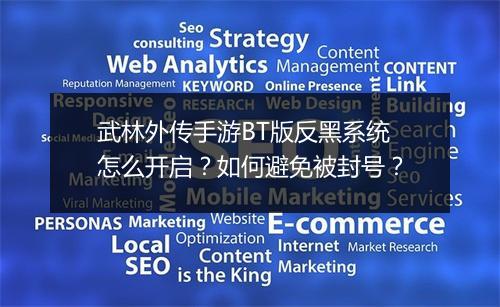 武林外传手游BT版反黑系统怎么开启?如何避免被封号?