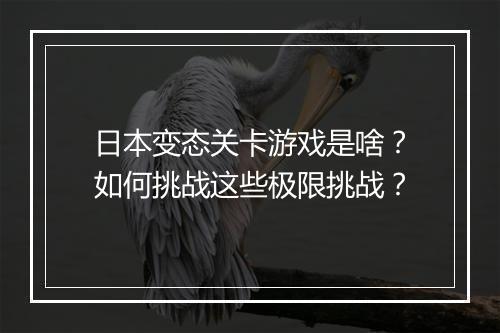 日本变态关卡游戏是啥？如何挑战这些极限挑战？