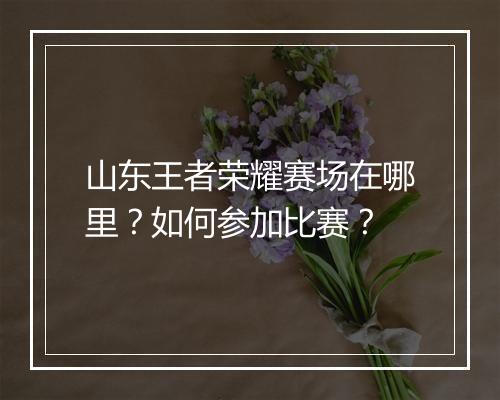 山东王者荣耀赛场在哪里？如何参加比赛？